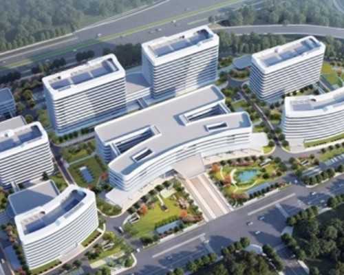 泰国试管技术与卵泡数量的关系