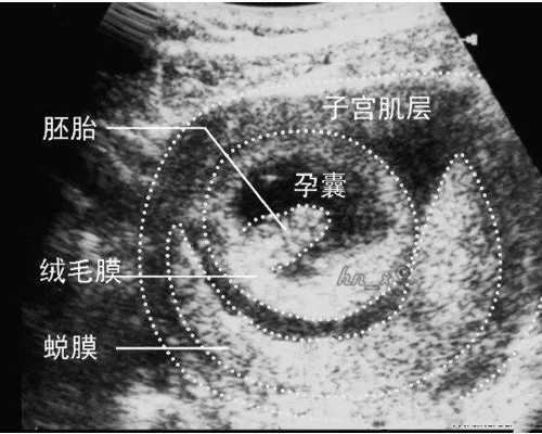 江苏供卵试管婴儿医院名单排名，试管医院好不好看完就知道了！