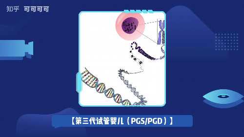 8岁儿童卵巢多大算正常，促排的卵泡多大算正常值
