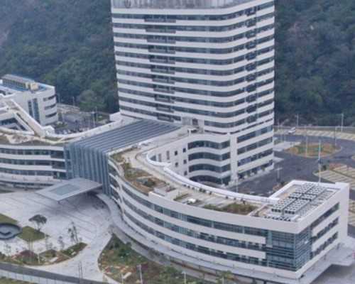 取卵第三天后被告知胚胎发育缓慢是不是基因的问题！取卵胚胎养不好的原因