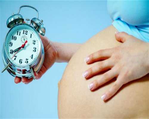 孕期胎儿十月发育过程图(18)