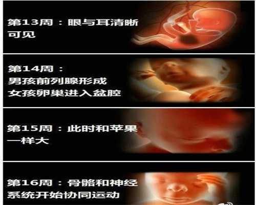 南京试管婴儿前三个月注意,南京2020年试管婴儿价