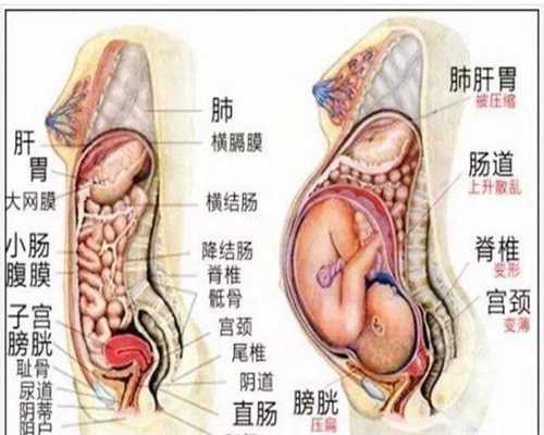 南京代孕-南京代孕供卵多少钱-南京代孕有什么要
