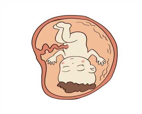 南京可以借卵怀孕吗,过量反式脂肪影响精子活性