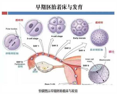 南京代孕-南京代孕公司流程-南京看代孕需要多少