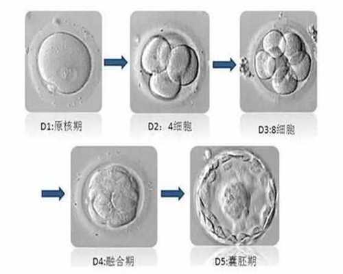 南京代孕-南京诚寻代孕妈妈-南京如何做合法代孕