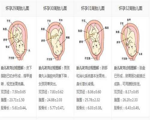 南京代孕_南京高效的代孕网_南京包成功代孕哪家