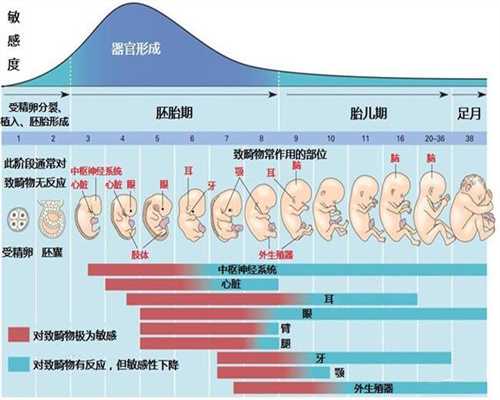 南京代孕_南京高效的代孕网_南京包成功代孕哪家
