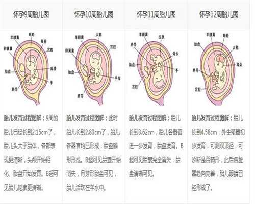 南京代孕-南京代孕妈妈哪里找-南京大学生代孕产