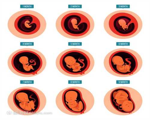 助孕群-不用母体生孩子掌握7个备孕技巧_备孕技