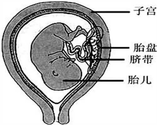 南京代孕-南京有代孕中介吗-南京代孕可以选男女