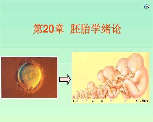 南京代孕-南京代孕可以合法吗-南京试管婴儿代孕