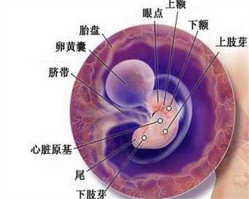 南京供卵自怀-南京代孕母亲网-南京代孕需要配血