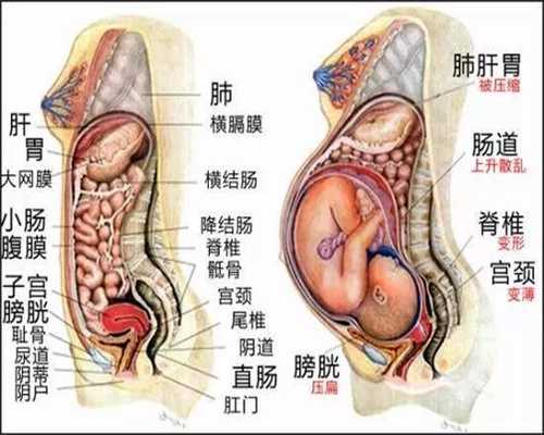 南京代怀孕网-南京有哪些代怀孕机构-去哪里找女