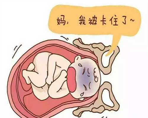 南京供卵代孕_南京代孕和人工受孕_南京代孕产子