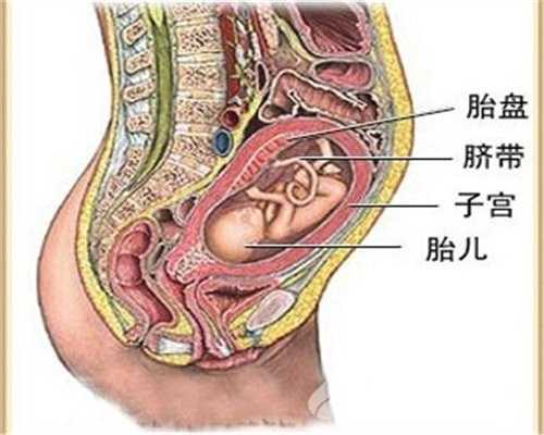南京代怀孕网-南京代怀生小孩-南京卵巢早衰代怀