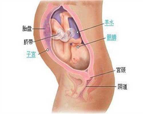南京代孕好找吗,南京助孕电话,优生优育：让男性生育能力下降的9件事