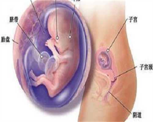 南京哪里找代妈-南京助孕正规吗-一组模拟图告诉你顺产生娃有多疼,从第二张开