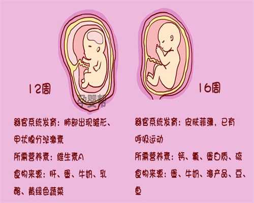 南京代孕合法吗-南京代孕联系方式