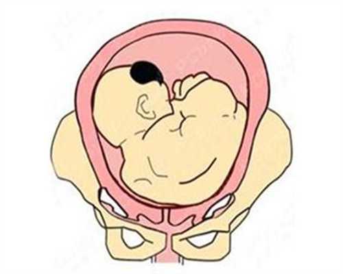 南京供卵代孕怎么联系~南京代孕报价~月经过去多久后是排卵日,想要备孕的代孕