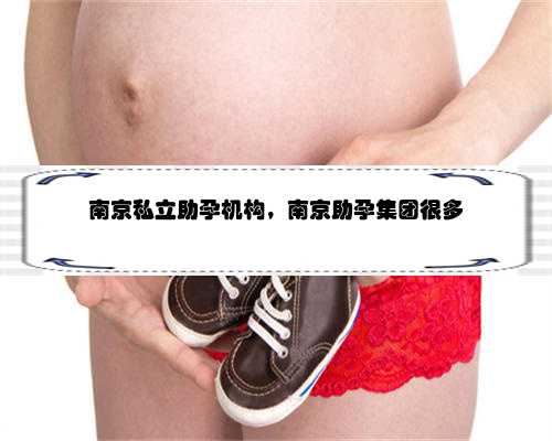 南京私立助孕机构，南京助孕集团很多