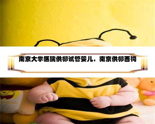 南京大学医院供卵试管婴儿，南京供卵西祠