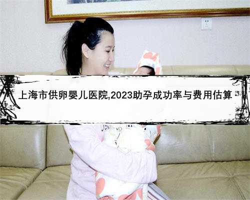 上海市供卵婴儿医院,2023助孕成功率与费用估算