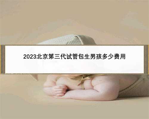 2023北京第三代试管包生男孩多少费用